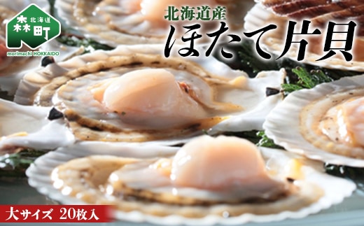 北海道産 ほたて片貝 大サイズ(20枚入) ＜ワイエスフーズ＞ 森町 ほたて 帆立 ホタテ 海産物 魚貝類 ふるさと納税 北海道 mr1-0880