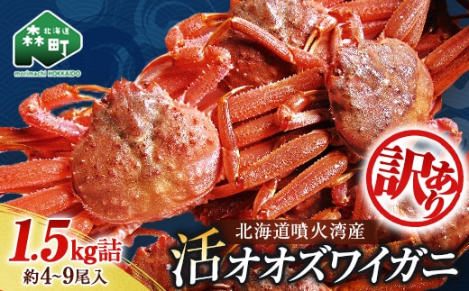 【訳あり】北海道噴火湾産活ずわいがに1.5kg ＜道産ネットミツハシ＞ かに カニ 蟹 ガニ がに 森町 ふるさと納税 北海道 ずわいがに mr1-1339