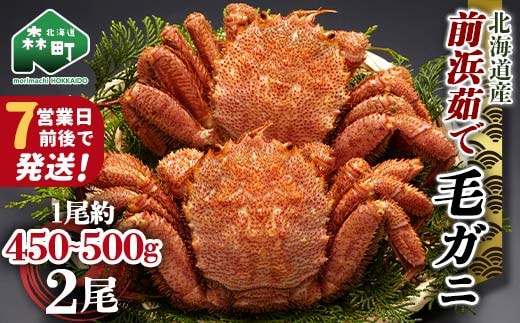 【7営業日前後で発送】北海道 毛ガニ 前浜茹で毛がに 約450g~500g 2尾 かに カニ 蟹 ガニ がに 森町 毛蟹 毛かに 毛がに 毛カニ 毛ガニ mr1-0653-1