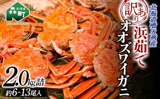 【訳あり】浜茹でオオズワイガニ 2.0kg 詰め込みセット 北海道噴火湾産 ＜道産ネットミツハシ＞ かに カニ 蟹 がに 北海道 森町 ふるさと納税 mr1-1338