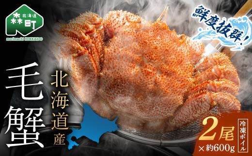 北海道・噴火湾産冷凍ボイル毛ガニ約600g前後×2尾 毛ガニ 毛カニ 蟹 かに かにみそ 海産物 海鮮 森町 mr1-0770