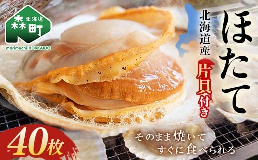 北海道・噴火湾・森産 冷凍ほたて片貝40枚＜海鮮問屋 株式会社 瑞宝＞ 森町 ほたて 帆立 ホタテ 海産物 魚貝類 ふるさと納税 北海道 mr1-0916