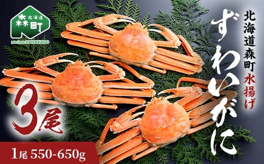 ずわいがに（550g～650g） 3尾入り 北海道森町水揚げ かに カニ 蟹 ガニ がに 森町 ふるさと納税 北海道 ずわいかに ズワイガニ mr1-0922