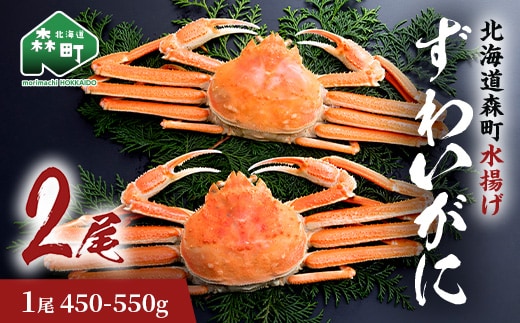 ずわいがに（450g～550g） 2尾入り 北海道森町水揚げ かに カニ 蟹 ガニ がに 森町 ふるさと納税 北海道 ずわいかに ズワイガニ mr1-0924