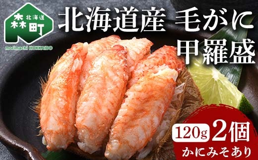 北海道産 毛がに甲羅盛（約120g）×2個※かにみそあり ＜道産ネットミツハシ＞ かに カニ 蟹 ガニ がに 北海道産 甲羅 海鮮 甲殻類 mr1-0958
