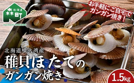 北海道噴火湾産 稚貝ほたてのガンガン焼き 1.5kg 海産物 加工品 ほたて 帆立 ホタテ 魚介類 海鮮 森町 ふるさと納税 mr1-0981
