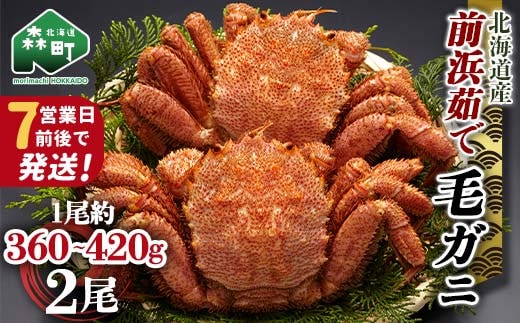 【7営業日前後で発送】北海道 毛ガニ 前浜茹で毛がに 約360g～420g 2尾 かに カニ 蟹 ガニ がに 森町 毛蟹 毛かに 毛がに 毛カニ 毛ガニ mr1-1033