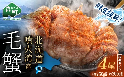 【訳あり】北海道・噴火湾産冷凍ボイル毛ガニ約300g前後×4尾 新物 2025年6月～7月水揚げ 毛ガニ 毛カニ 蟹 かに かにみそ 海産物 海鮮 森町 mr1-1047