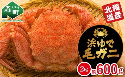【北海道産】 浜ゆで毛ガニ 約600g (2尾入り) mr1-1059