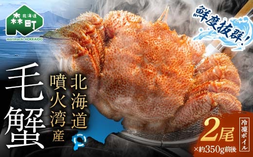 【訳あり】北海道・噴火湾産冷凍ボイル毛ガニ約350g前後×2尾 ＜海鮮問屋 株式会社 瑞宝＞ かに カニ 蟹 ガニ がに 森町 ふるさと納税 北海道 毛蟹 毛かに 毛ガニ 毛カニ mr1-1453