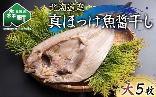 北海道産 真ほっけ魚醤干し 大5枚入り 魚介 海産物 海鮮 食品 北海道 森町 mr1-1215