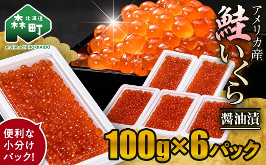 鮭 いくら 小分け 600g（100g×6）アメリカ産 ＜海鮮問屋 株式会社 瑞宝＞ いくら醤油漬け いくら イクラ しょうゆ漬け 海産物 加工品 森町 ふるさと納税 北海道 mr1-1236