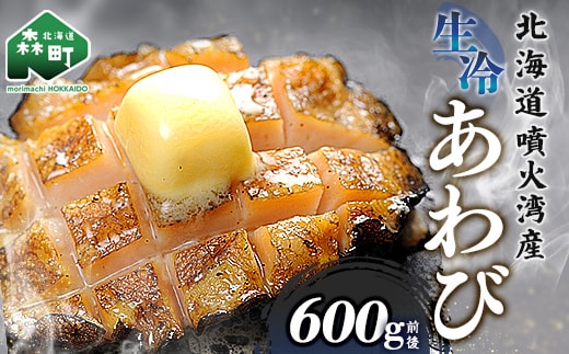 北海道産 生冷あわび 600g前後 (約5~6個) ＜ワイエスフーズ＞ 北海道 あわび 新鮮 魚介類 貝 冷凍 北海道噴火湾産 噴火湾産 森町 お刺身 バター焼き 酒蒸し 炊き込みご飯 mr1-1268