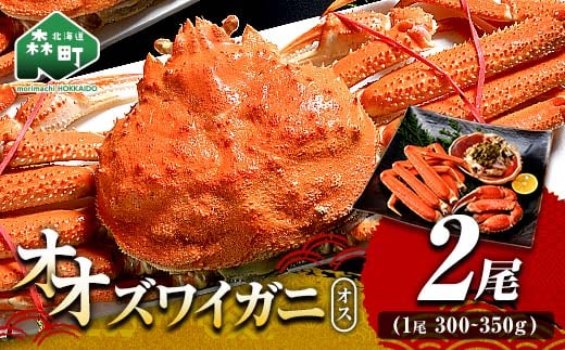 オオズワイガニ オス姿 2尾 300～350g前後×2尾 ＜海鮮問屋 株式会社 瑞宝＞ かに カニ 蟹 ガニ がに 海鮮 森町 北海道 mr1-1301
