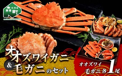 オオズワイガニ毛がに2尾セット オオズワイガニ1尾(300～350g前後) 毛がに1尾(約350g) ＜海鮮問屋 株式会社 瑞宝＞ かに カニ 蟹 ガニ がに 海鮮 森町 北海道 mr1-1304