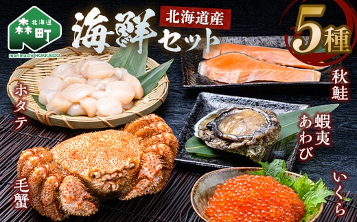 北海道産 海鮮五種 極み特選セット （毛蟹・ホタテ・いくら・蝦夷あわび・秋鮭） ＜ワイエスフーズ＞ 森町 海産物 魚貝類 ふるさと納税 北海道 mr1-1329