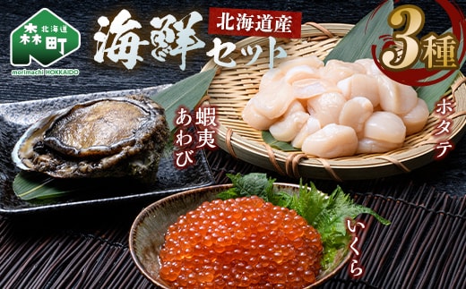 北海道産 海鮮三種 特選セット （ホタテ貝柱7S 250g・鱒いくら200g・蝦夷あわび1枚） ＜ワイエスフーズ＞ 森町 海産物 魚貝類 ふるさと納税 北海道 mr1-1331