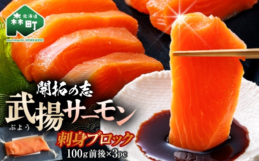 開拓の志 武揚サーモン「森町」冷凍刺身用ブロック 100g前後×3P ＜株式会社 ワイエス海商＞ サケ さけ 鮭 海鮮丼 海産物 森町 ふるさと納税 北海道 mr1-1344