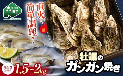 北海道森町 噴火湾産 海の恵みカキのガンガン焼き 殻付きカキ(加熱用) 1.5kg～2kg ＜ワイエスフーズ＞ 森町 かき 牡蠣 海産物 魚貝類 ふるさと納税 北海道 mr1-1374