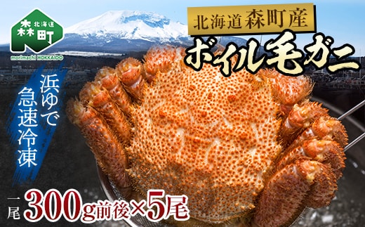 【訳あり】北海道・噴火湾産冷凍ボイル毛ガニ約300g前後×5尾 mr1-1430
