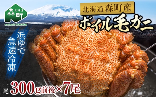 【訳あり】北海道・噴火湾産冷凍ボイル毛ガニ約300g前後×7尾 mr1-1432