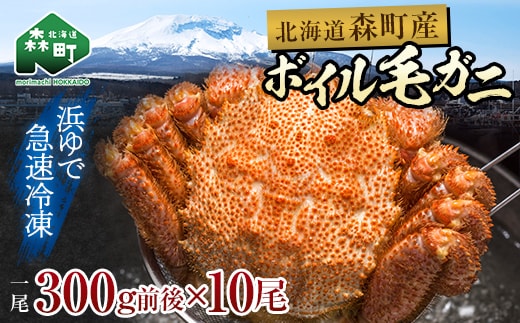 【訳あり】北海道・噴火湾産冷凍ボイル毛ガニ約300g前後×10尾 mr1-1435