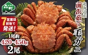 【7営業日前後で発送】北海道 毛ガニ 前浜茹で毛がに 約420g～450g 2尾 かに カニ 蟹 ガニ がに 森町 毛蟹 毛かに 毛がに 毛カニ 毛ガニ mr1-1038