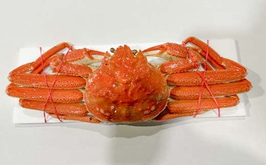 訳あり】三特 オオズワイガニ 3kg（6～10杯） 北海道噴火湾産 化粧箱入