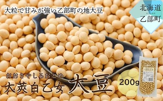 ＜大莢白乙女大豆 1袋＞大粒で甘い乙部町地大豆 北海道 北海道産 道産 国産 国産大豆 乙部町 地大豆 特産品 大豆 甘い 大粒 コク