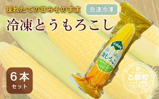 ＜ささや農園産 極★凍結 とうもろこし 6本＞北海道 道産 国産 乙部町 とうもろこし とうきび 冷凍 急速冷凍 鮮度そのまま 甘さ 糖度 個包装 ゴールドラッシュ 恵味ゴールド