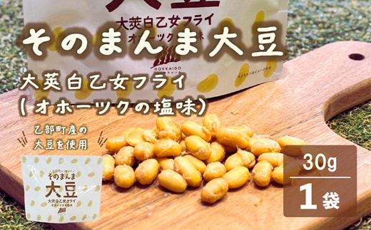 ＜大莢白乙女フライ 1個セット＞北海道 北海道産 大莢白乙女 大豆 フライ そのまんま そのまんまシリーズ