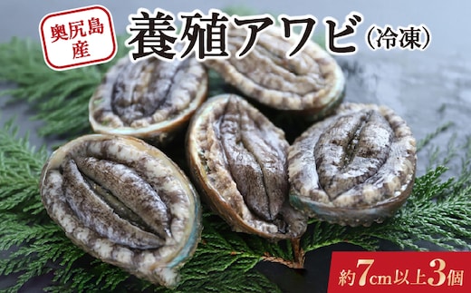 奥尻島産 冷凍 養殖アワビ (3個入り) 1個 約70mm | 新鮮 あわび アワビ 鮑 魚介 酒蒸し バター焼き 刺身 天ぷら グルメ お取り寄せ | 北海道 奥尻町 送料無料