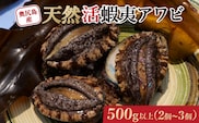 【2026年6月発送】 奥尻島産 天然アワビ 500g以上 (2～3個)  | 冷蔵 | 奥尻産 活アワビ あわび 鮑 蝦夷アワビ エゾアワビ 刺身 焼き物 | 北海道 奥尻町 送料無料 OKS03-007