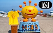 うにまるTシャツ イエロー Mサイズ 奥尻島 ゆるキャラ ご当地 マスコット キャラクター うにまる メンズ レディース ユニセックス ご当地T キャラT Tシャツ 半袖 | 北海道 奥尻町 送料無料