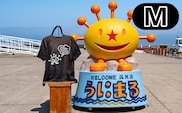 うにまるTシャツ (モノクロデザイン) ブラック Mサイズ 奥尻島 ゆるキャラ ご当地 マスコット キャラクター うにまる 白 黒 メンズ レディース ユニセックス ご当地T キャラT Tシャツ 半袖 シンプル ベーシック | 北海道 奥尻町 送料無料