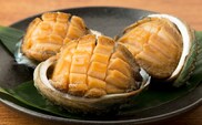あわび姿煮  | 冷凍 | 北海道 奥尻町 送料無料 OKS07-010