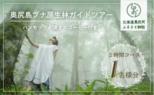 奥尻島ブナ原生林ガイドツアー １名様分(ハンモックと湧き水コーヒー付き 2時間) OKUE004