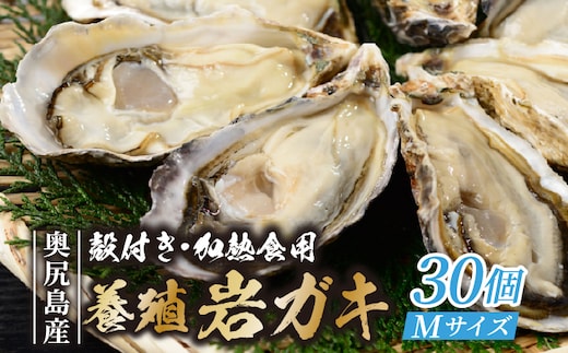 【先行予約 2026年7月20日頃より発送】 奥尻島産 養殖岩ガキ 【Mサイズ】 殻付き 30個入り （加熱食用） ～豊かな海が育てた海の宝石～ OKS13-005