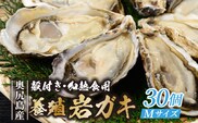 【先行予約 2026年7月20日頃より発送】 奥尻島産 養殖岩ガキ 【Mサイズ】 殻付き 30個入り （加熱食用） ～豊かな海が育てた海の宝石～ OKS13-005