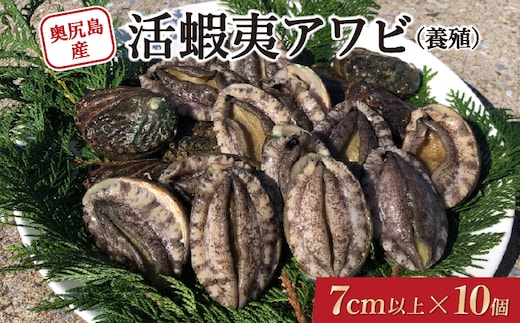 奥尻島産 活蝦夷アワビ (養殖) 10個入り 70mm以上 | 冷蔵 | 北海道 奥尻町 送料無料 OKS03-002