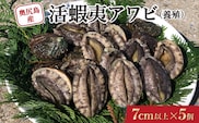 奥尻島産 活蝦夷アワビ (養殖) 5個入り 70mm以上 | 冷蔵 | 北海道 奥尻町 送料無料 OKS03-001