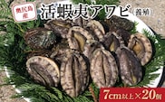 奥尻島産 活蝦夷アワビ (養殖) 20個入り 70mm以上 | 冷蔵 | 北海道 奥尻町 送料無料 OKS03-003