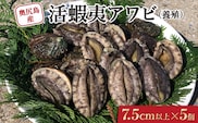 奥尻島産 活蝦夷アワビ (養殖) 5ケ入り 75mm以上 | 冷蔵 | 北海道 奥尻町 送料無料 OKS03-004