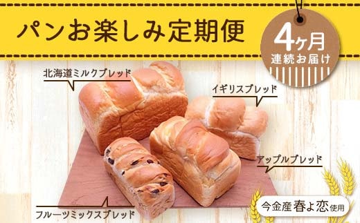 【4ヶ月連続お届け】パンお楽しみ定期便 F21W-467