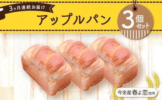 【3ヶ月連続お届け】今金産春よ恋使用！アップルパン3個セット F21W-469
