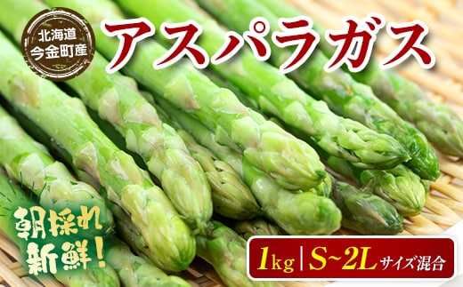 【先行予約】【訳あり】朝採れ新鮮アスパラ 1kg（S～2Lサイズ混合） (2026年3月下旬~6月中旬または2026年7月上旬~9月上旬頃発送) 野菜 北海道産 バーベキュー BBQ キャンプ 旬野菜 ワケあり わけあり アスパラガス 栄養満点 冷蔵発送 F21W-318