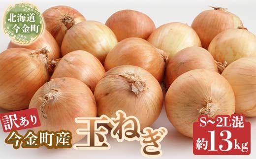 【先行予約】【訳あり】今金町産玉ねぎ13kg(S～2Lサイズ混合） 北海道 玉ねぎ 玉葱 たまねぎ 北海道産 不揃い 訳あり 大容量 野菜 常備野菜 F21W-398