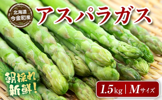 【先行予約】朝採れ新鮮アスパラ 1.5kg（Mサイズ） (2026年3月下旬~6月中旬または2026年7月上旬~9月上旬頃発送) 野菜 秀品 北海道産 バーベキュー BBQ キャンプ 旬野菜 アスパラガス 栄養満点 冷蔵発送 F21W-454
