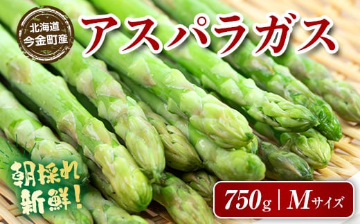 【先行予約】朝採れ新鮮アスパラ 750g（Mサイズ） (2026年3月下旬~6月中旬または2026年7月上旬~9月上旬頃発送) 野菜 秀品 北海道産 バーベキュー BBQ キャンプ 旬野菜 アスパラガス 栄養満点 冷蔵発送 F21W-457