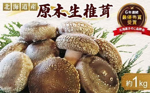 【先行予約】原木栽培 生椎茸 約1kg 里の恵 しいたけ シイタケ きのこ キノコ 椎茸 野菜 F21W-570
